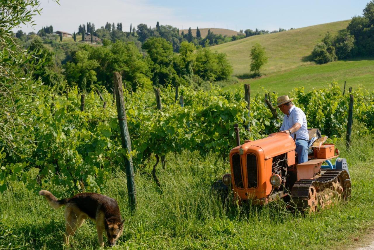 Agriturismo Pretenzano 볼테라 외부 사진